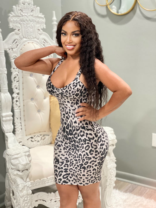 Sexy Cheetah